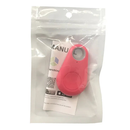 Mini GPS Smart Tag